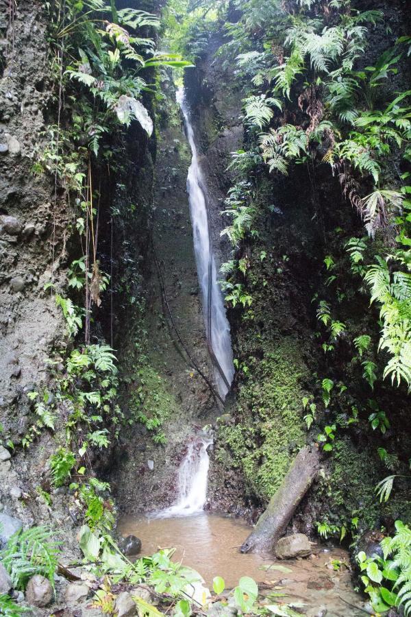 Finca Sueno De Osa Пуэрто-Хименес Экстерьер фото