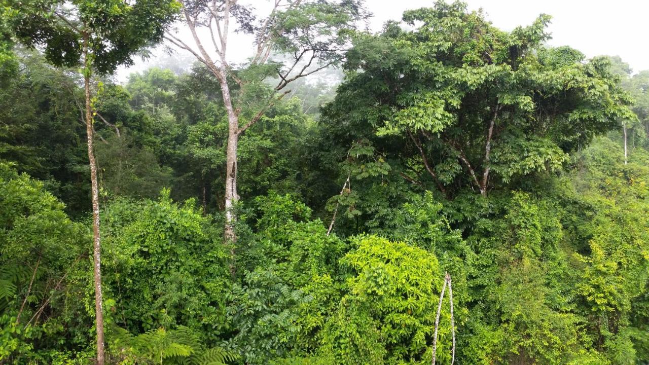 Finca Sueno De Osa Пуэрто-Хименес Экстерьер фото