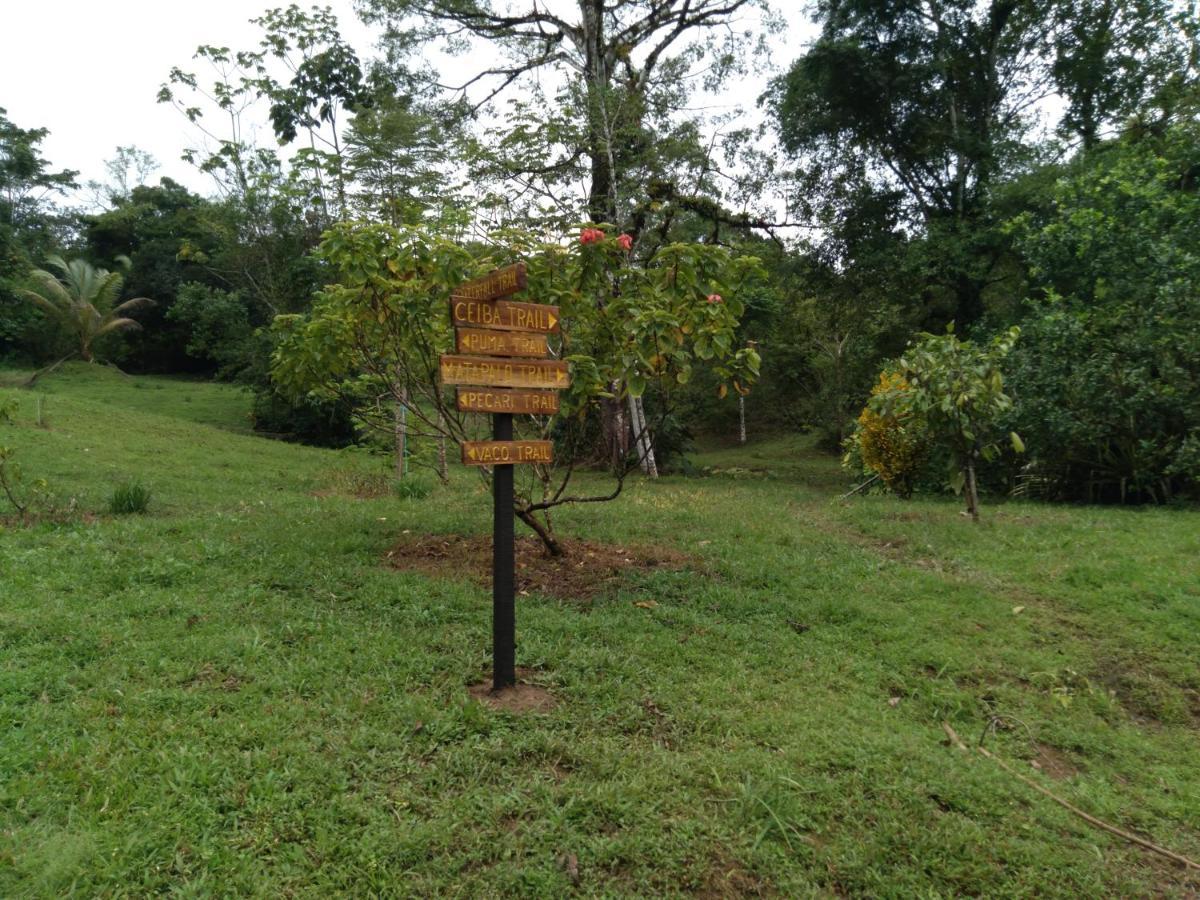 Finca Sueno De Osa Пуэрто-Хименес Экстерьер фото